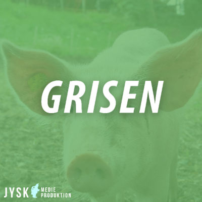 episode Grisen 2025 - E24: Et slag for so-overlevelsen! artwork