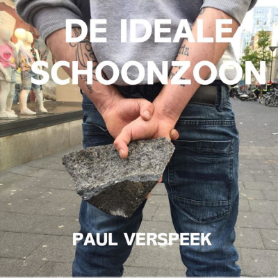 De ideale schoonzoon